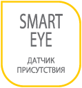 Smart Eye